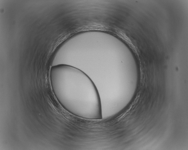 X0000070190202200605261013