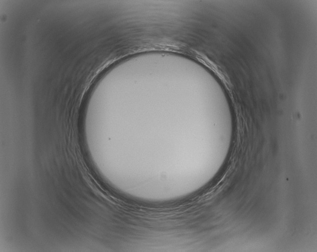 X0000070190203200605261013