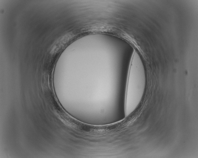 X0000070190205200605261013