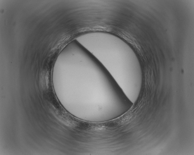 X0000070190206200605261013