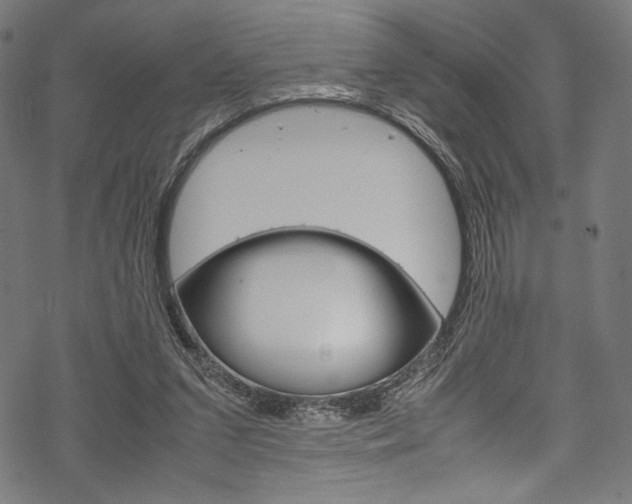 X0000070190207200605261013