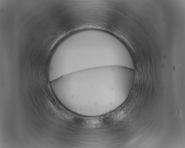 X0000070190208200605261013