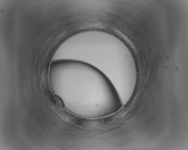 X0000070190209200605261013