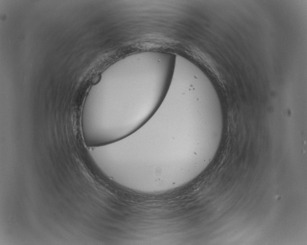 X0000070190210200605261013