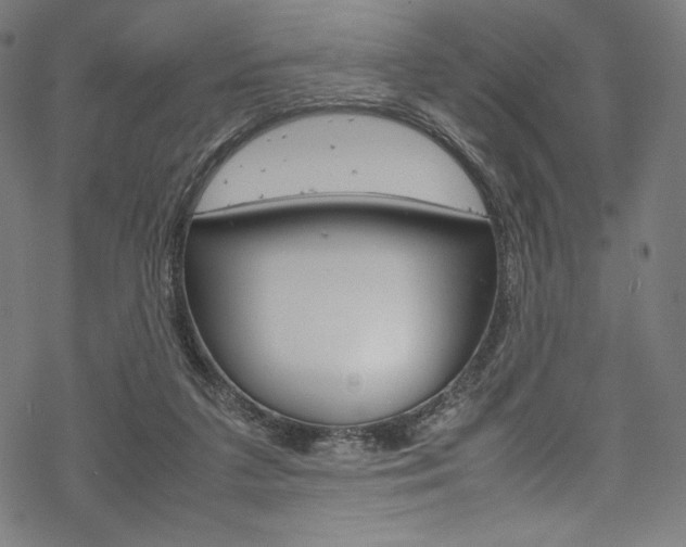 X0000070190211200605261013