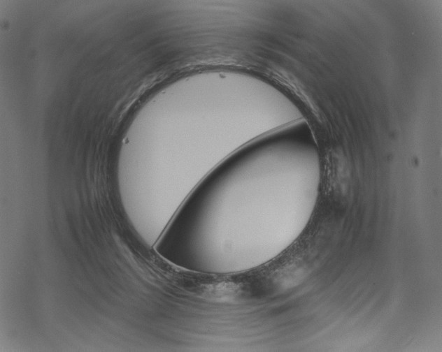 X0000070190212200605261013