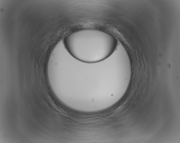 X0000070190213200605261013