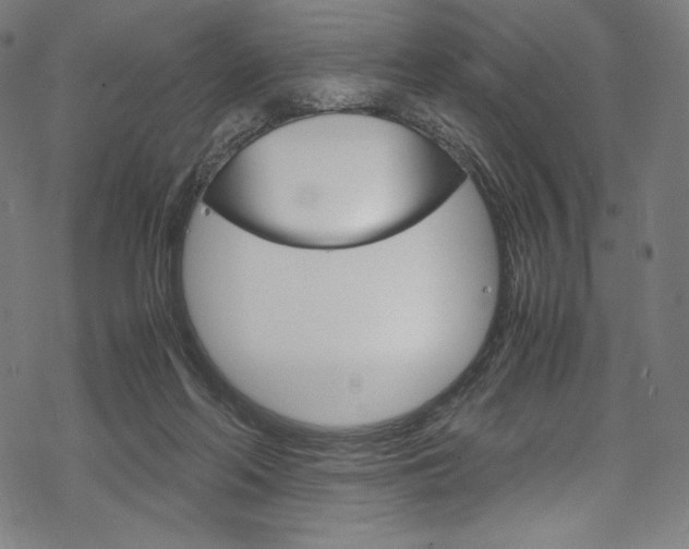 X0000070190214200605261013