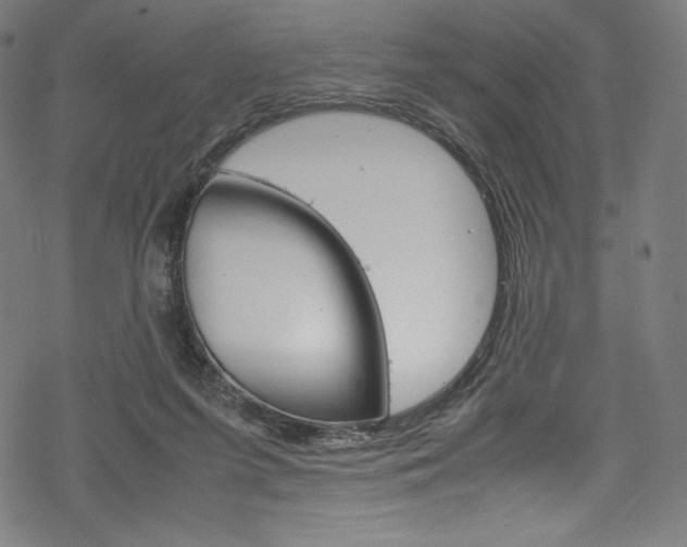 X0000070190215200605261013