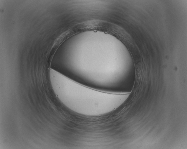 X0000070190216200605261013