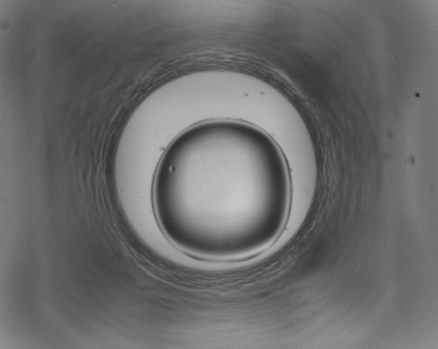 X0000070190217200605261013