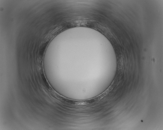 X0000070190218200605261013