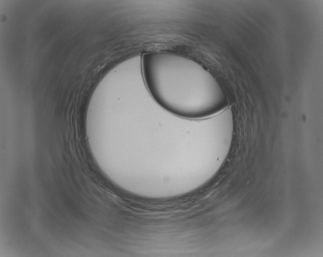 X0000070190219200605261013