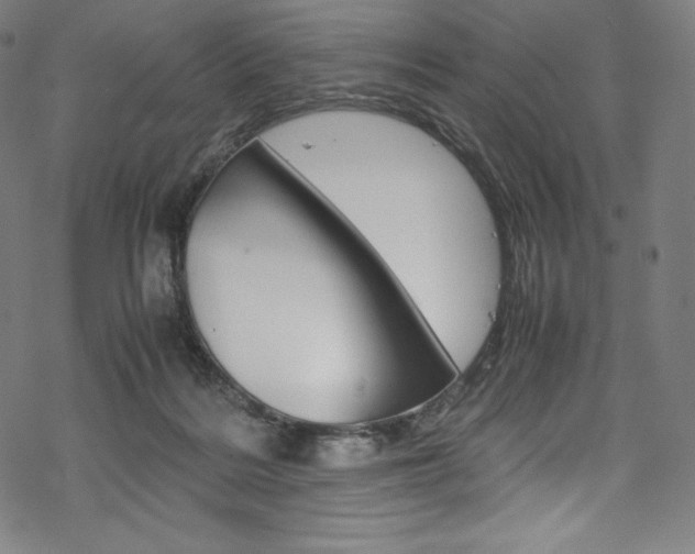 X0000070190220200605261013