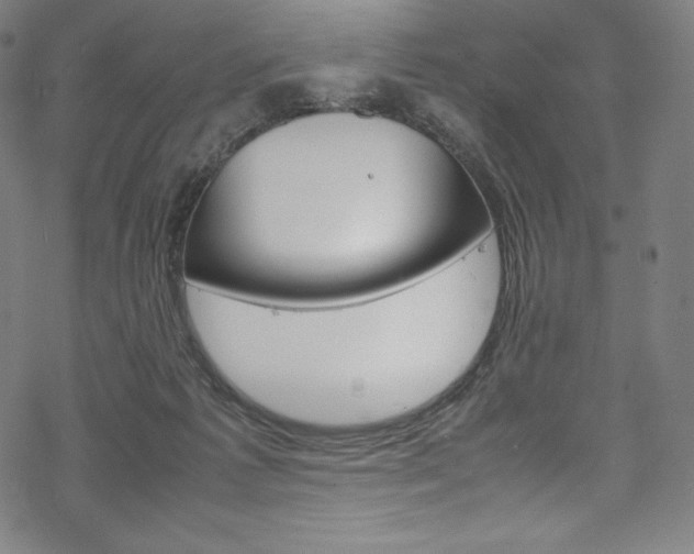 X0000070190221200605261013