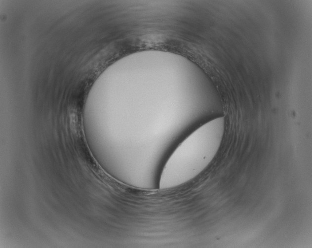 X0000070190222200605261013