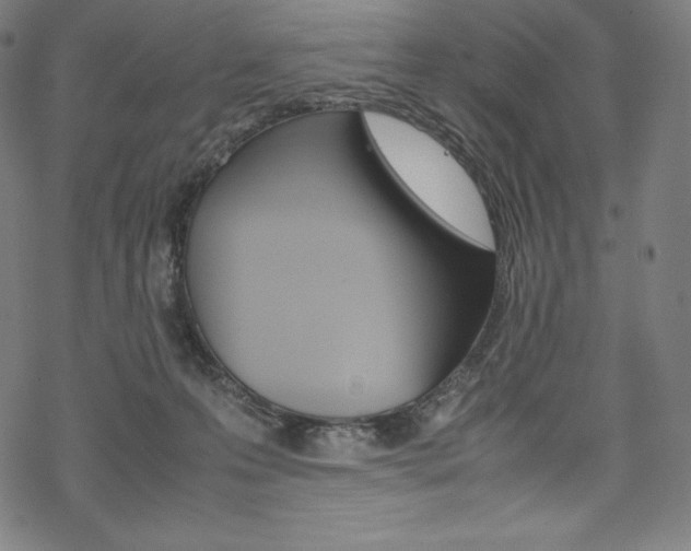 X0000070190223200605261013