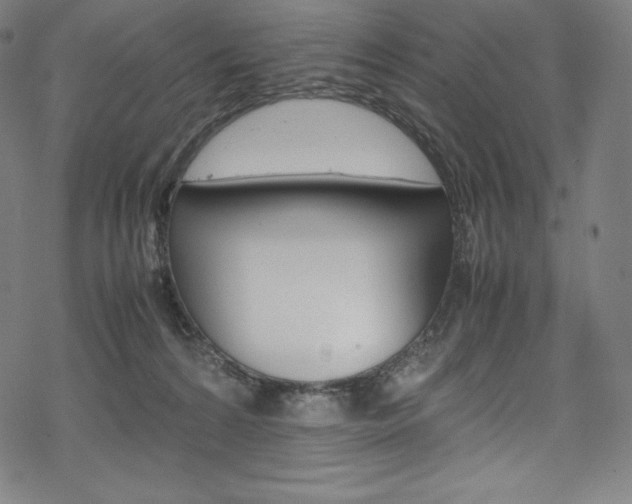 X0000070190224200605261013