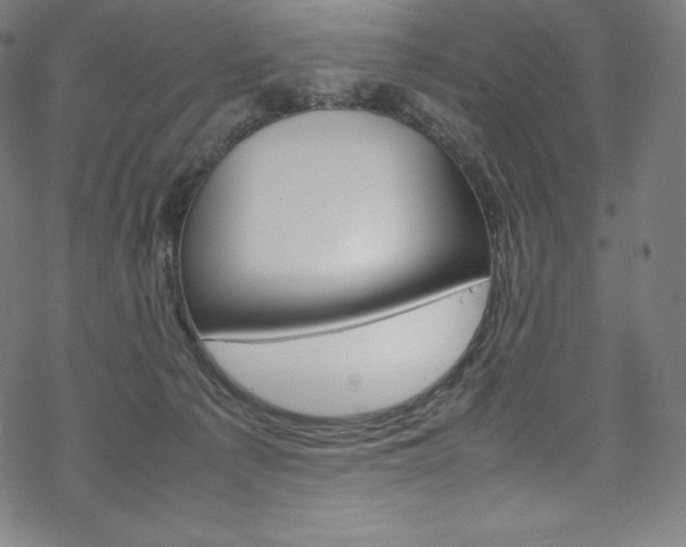 X0000070190225200605261013