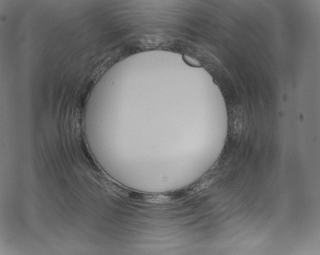 X0000070190226200605261013