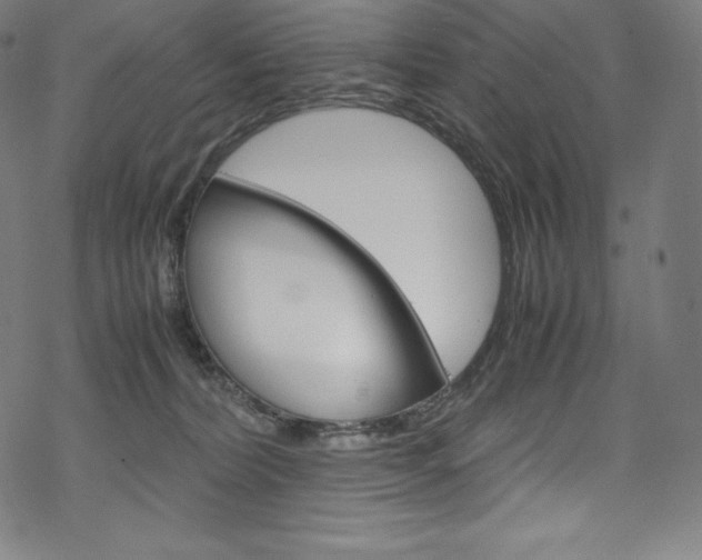 X0000070190228200605261013