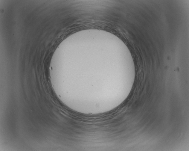 X0000070190229200605261012