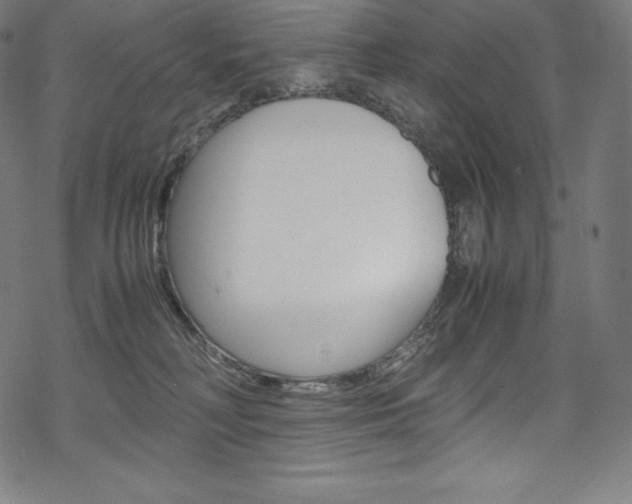 X0000070190230200605261012