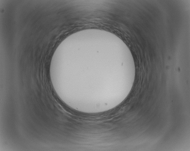 X0000070190231200605261012