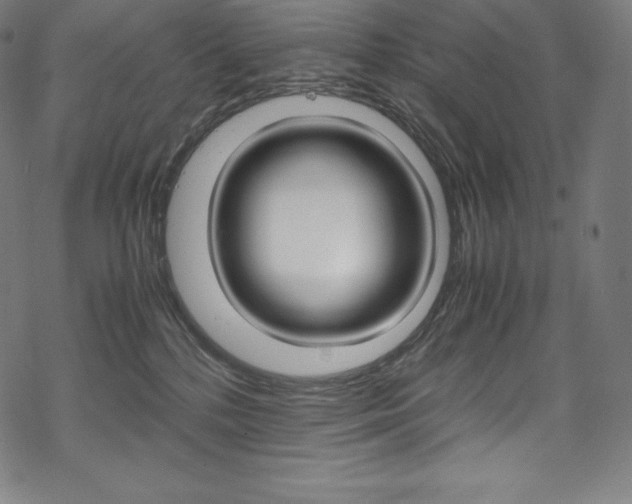 X0000070190232200605261012