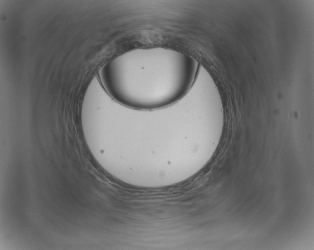 X0000070190233200605261012