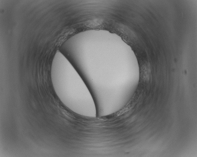 X0000070190234200605261012