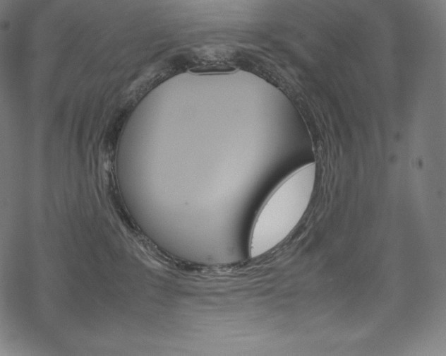 X0000070190235200605261012