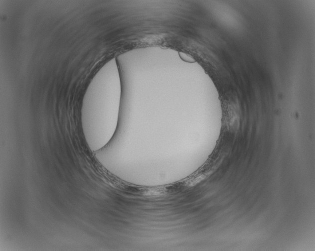 X0000070190236200605261012