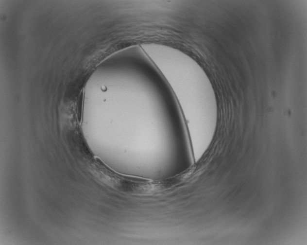 X0000070190237200605261012