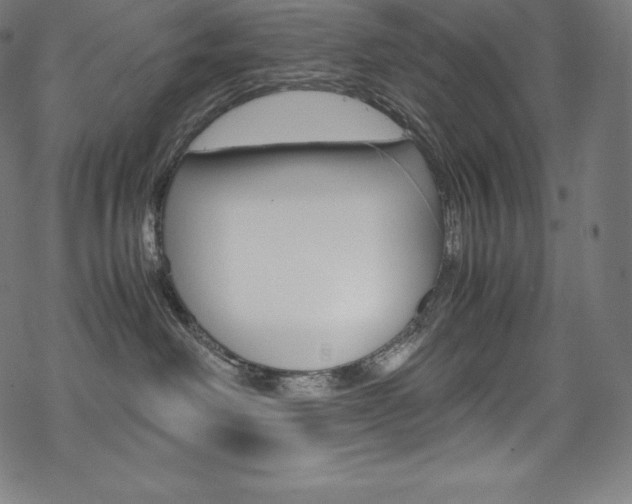 X0000070190238200605261012