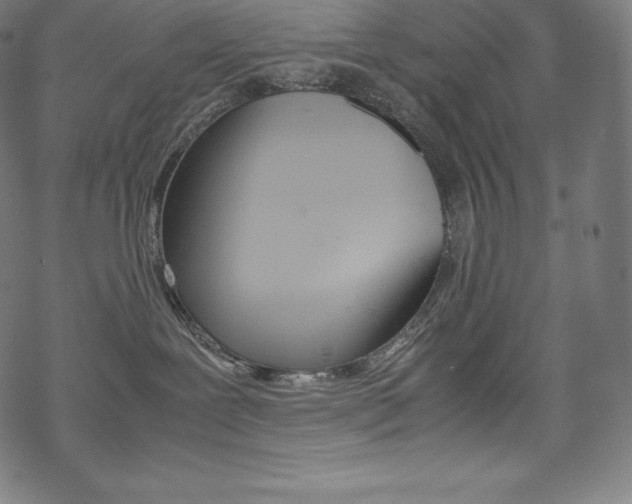 X0000070190239200605261012