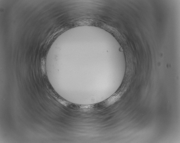 X0000070190240200605261012