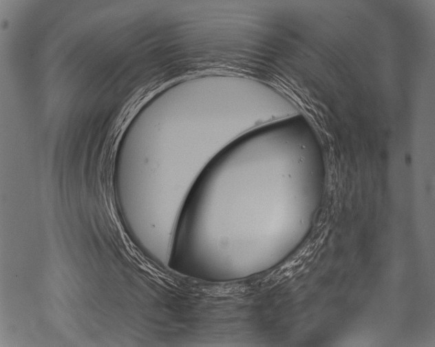 X0000070190241200605261012