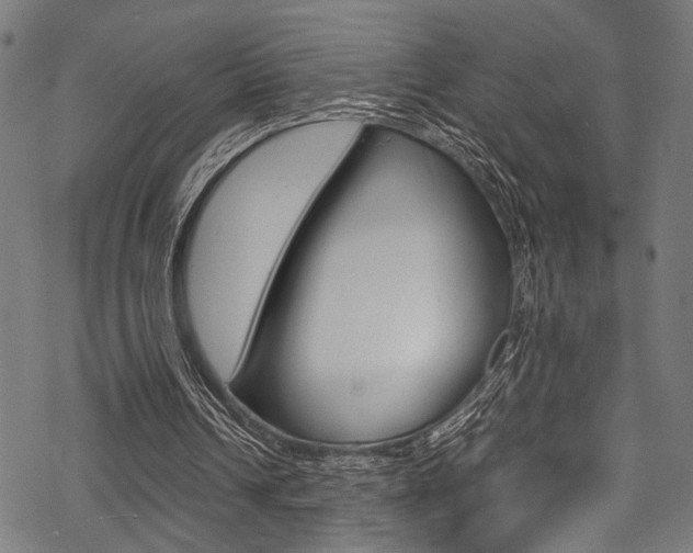 X0000070190242200605261012