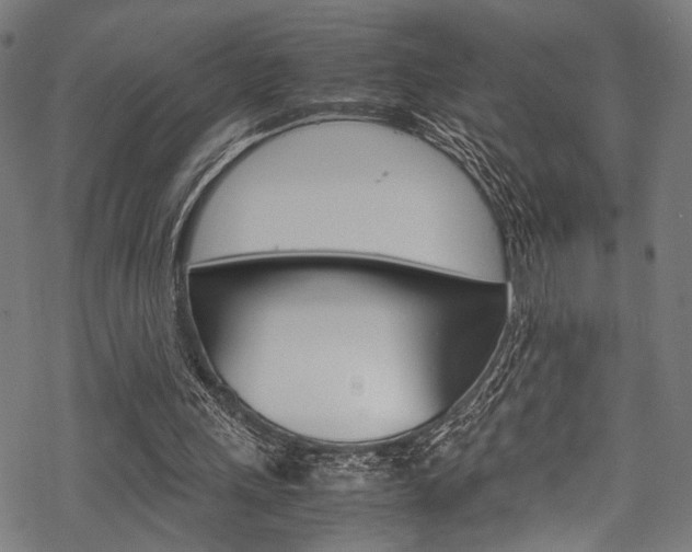 X0000070190243200605261012