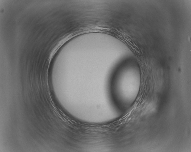 X0000070190244200605261012