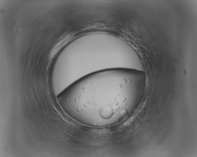 X0000070190245200605261012