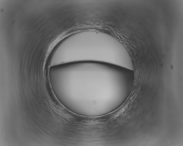 X0000070190246200605261012