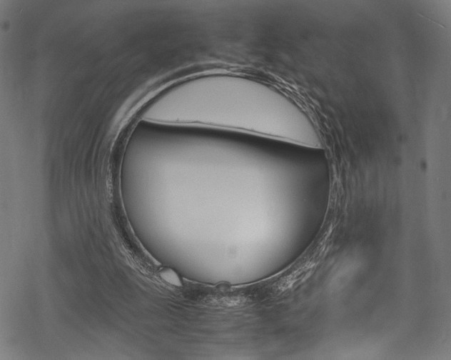 X0000070190247200605261012