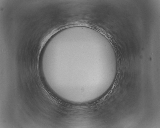 X0000070190248200605261012