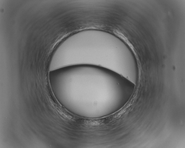 X0000070190249200605261012