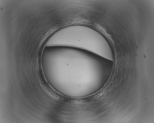 X0000070190250200605261012