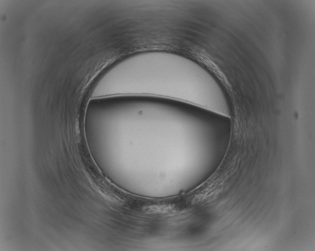 X0000070190251200605261012