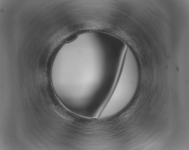 X0000070190252200605261012