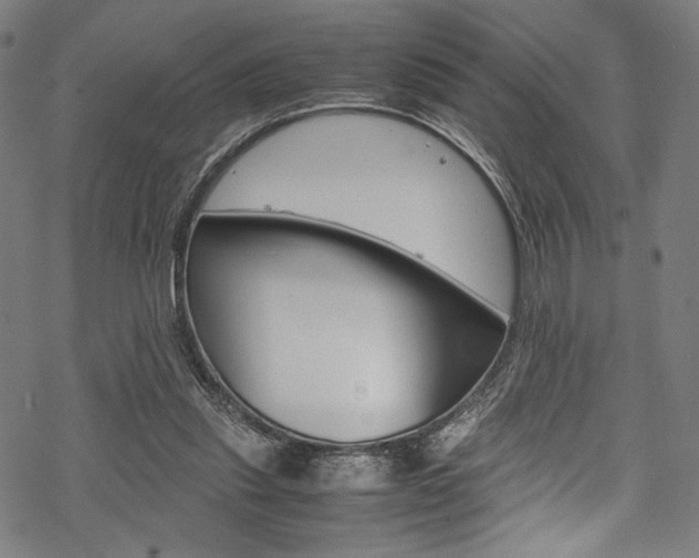 X0000070190253200605261012